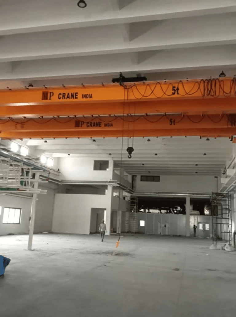 Double Girder EOT Crane Manufacturer